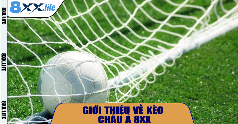 Giới thiệu về Kèo Châu Á 8XX