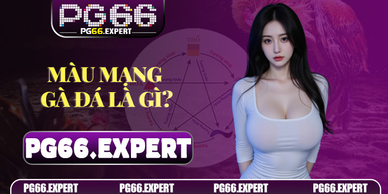 Màu Mạng Gà Đá là gì và vì sao được giới sư kê coi trọng?