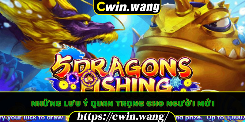 Những lưu ý quan trọng cho người mới