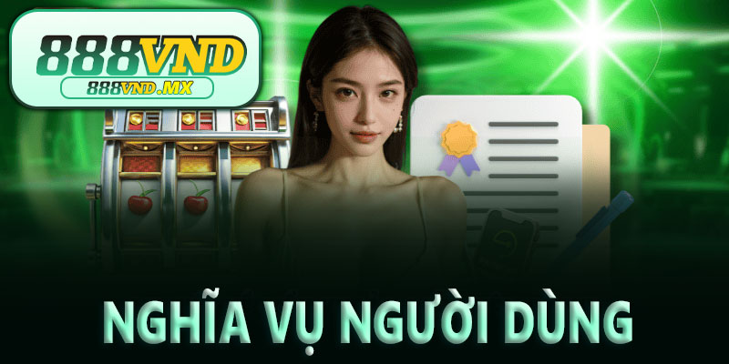 Quyền và nghĩa vụ người dùng